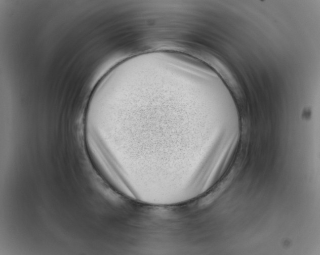 X0000101420814200808041126