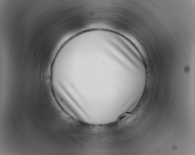 X0000101420815200808041126