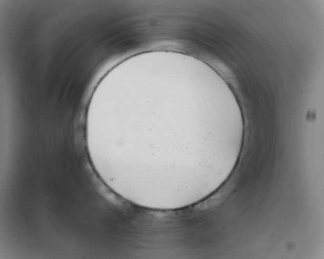 X0000101420816200808041126