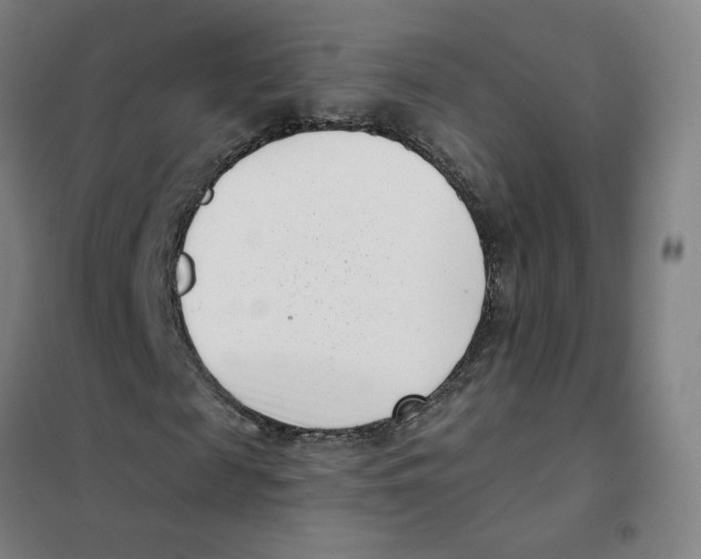 X0000101420817200808041125