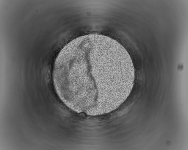 X0000101420818200808041125