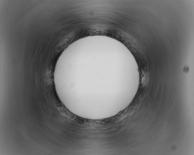X0000101420819200808041126