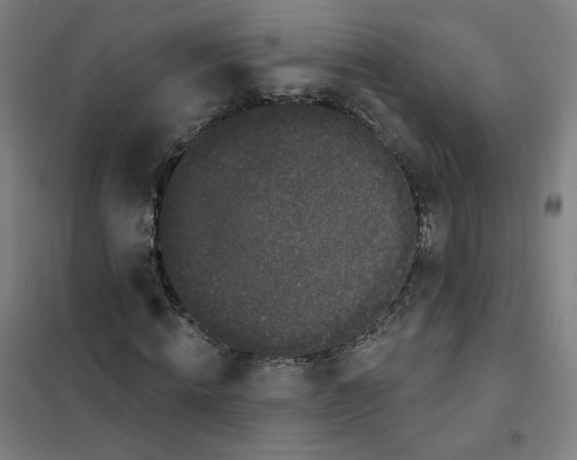 X0000101420820200808041126