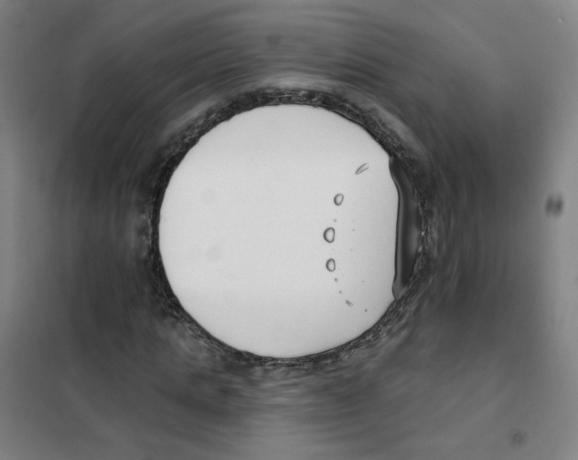 X0000101420821200808041126