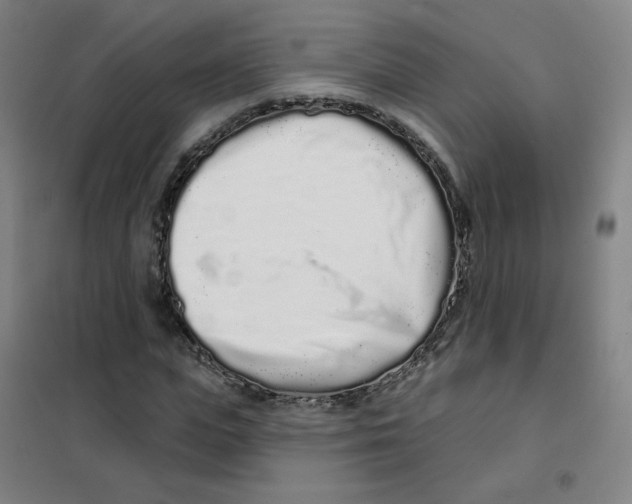 X0000101420823200808041126