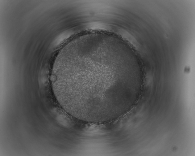 X0000101420824200808041126