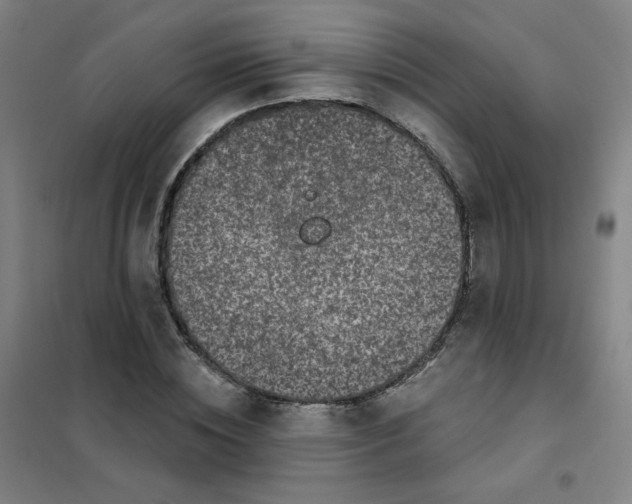 X0000101420828200808041126