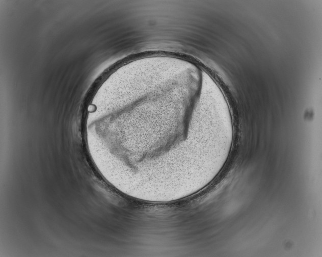 X0000101420830200808041126