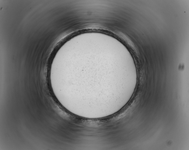 X0000101420831200808041126