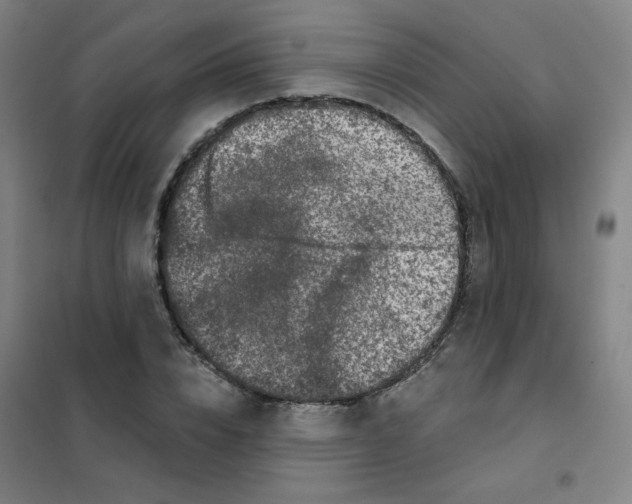 X0000101420832200808041126