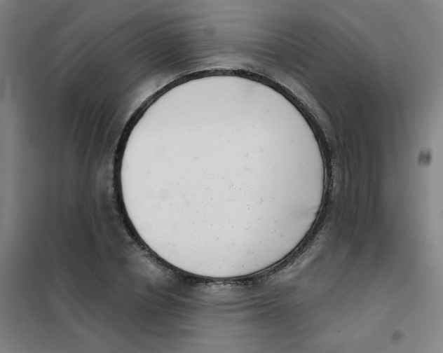 X0000101420834200808041126