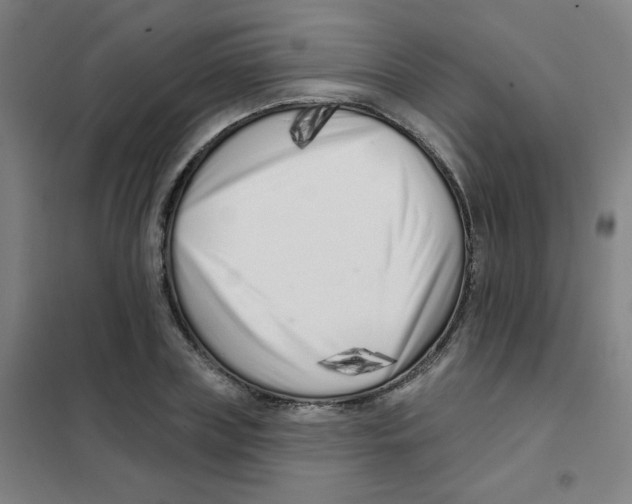 X0000101420835200808041126