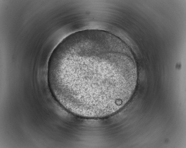 X0000101420836200808041126