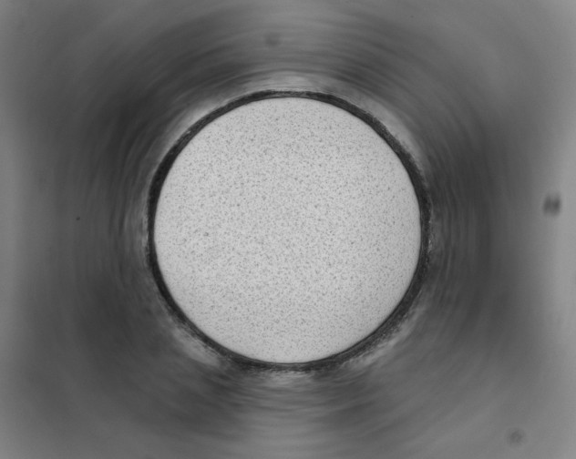 X0000101420837200808041126