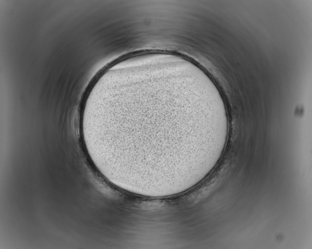 X0000101420838200808041126