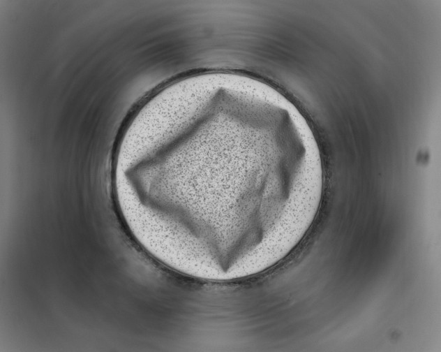 X0000101420840200808041126