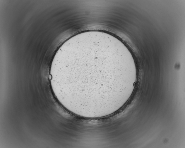 X0000101420841200808041126