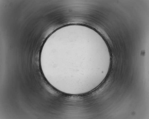 X0000101420842200808041126