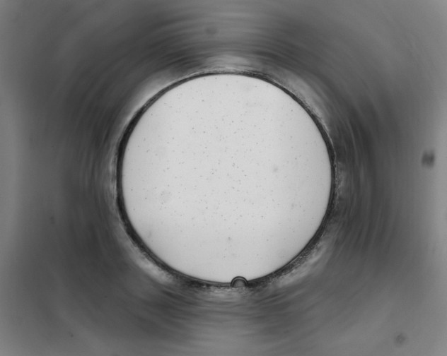 X0000101420843200808041126
