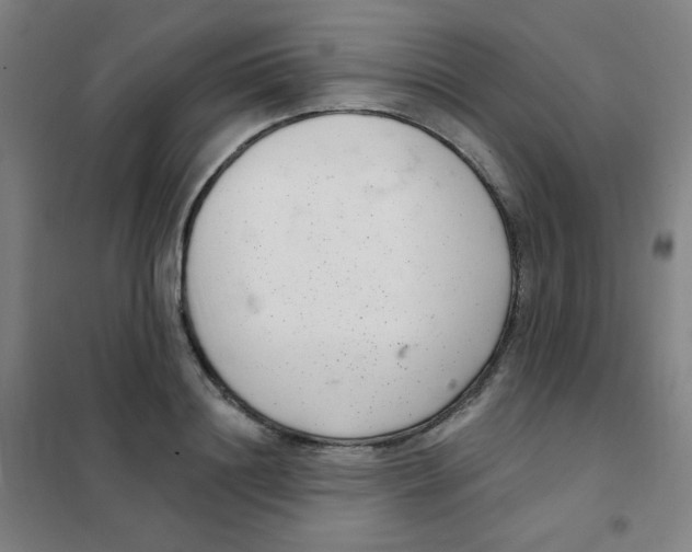 X0000101420844200808041126