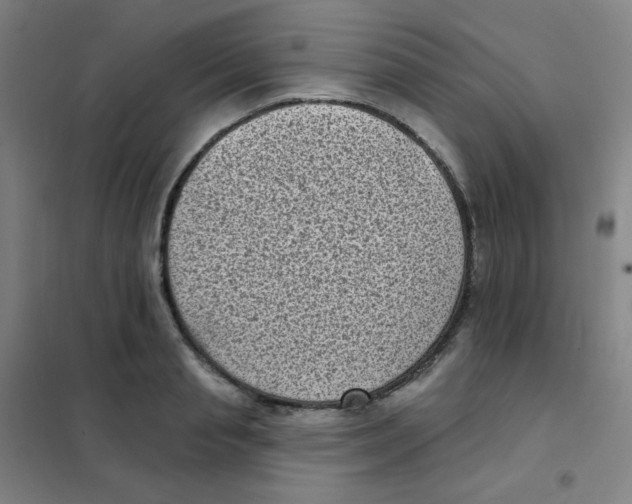 X0000101420845200808041126