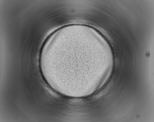 X0000101420846200808041126
