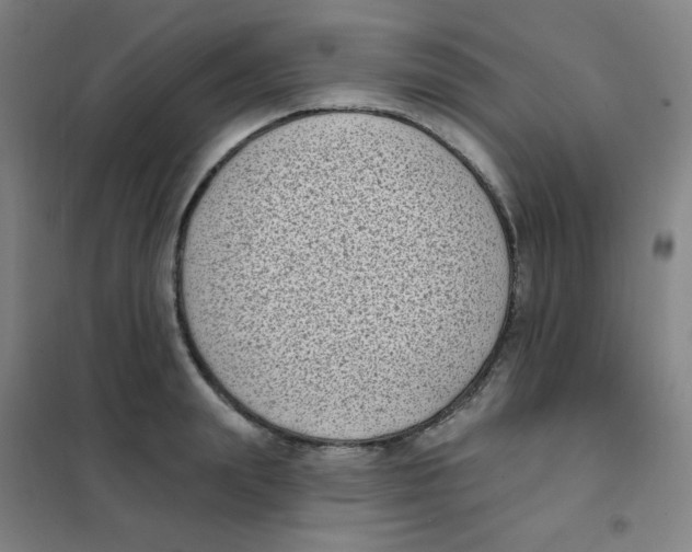 X0000101420847200808041126
