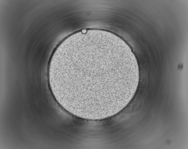 X0000101420848200808041126
