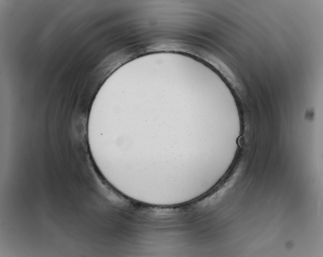 X0000101420849200808041126