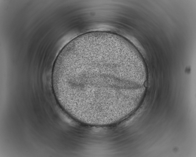 X0000101420850200808041126