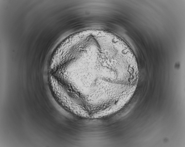 X0000101420851200808041126