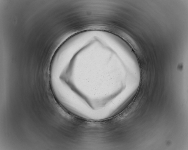 X0000101420852200808041126