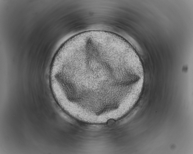 X0000101420854200808041126