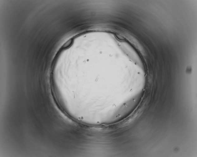 X0000101420855200808041126