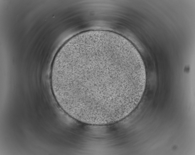 X0000101420856200808041126