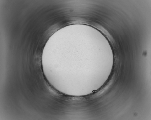 X0000101420857200808041126
