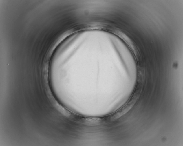 X0000101420859200808041126