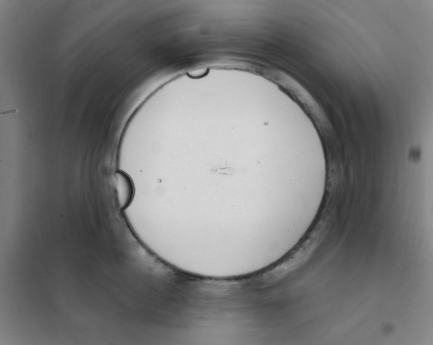 X0000101420860200808041126