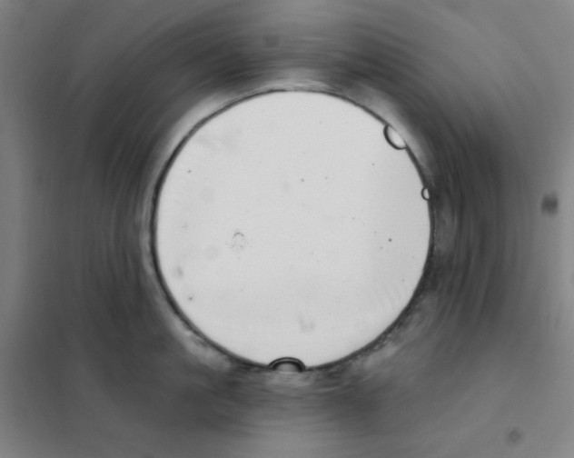X0000101420861200808041126
