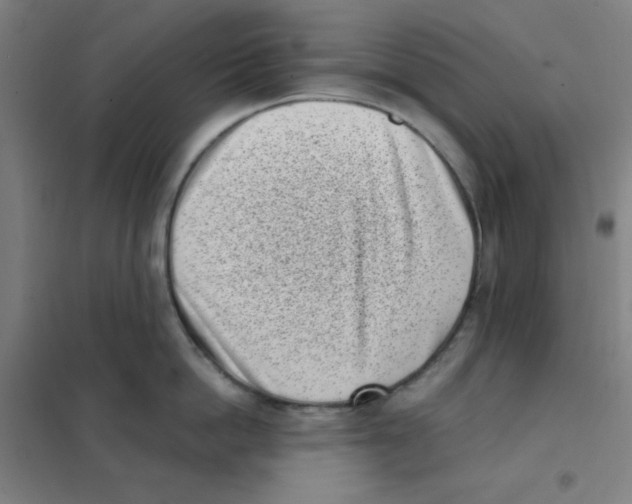 X0000101420862200808041126