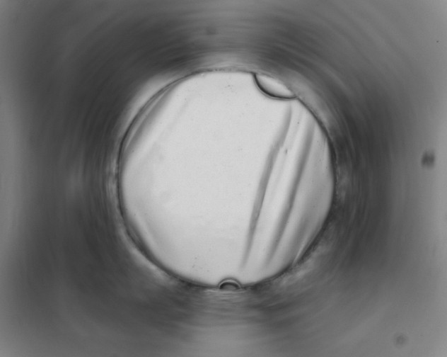 X0000101420863200808041126