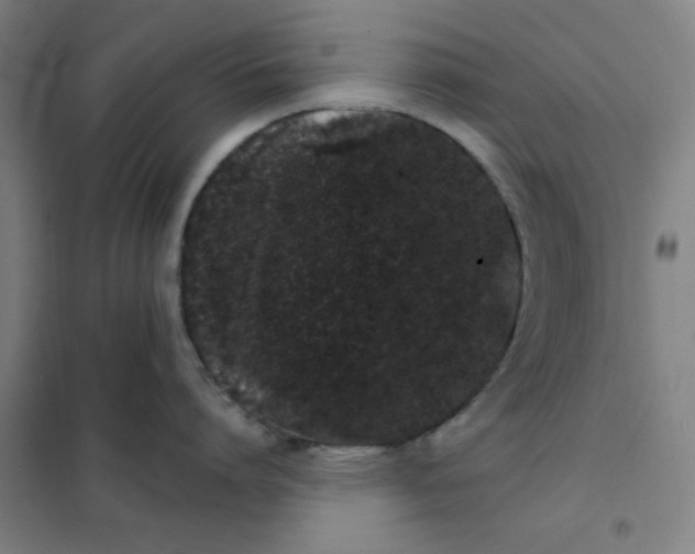 X0000101420864200808041126