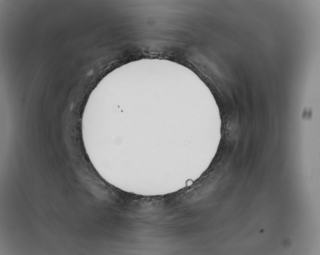 X0000101420865200808041125