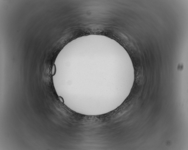 X0000101420866200808041125