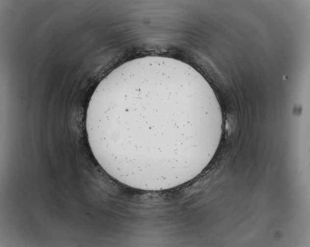 X0000101420867200808041125