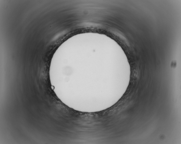 X0000101420869200808041125