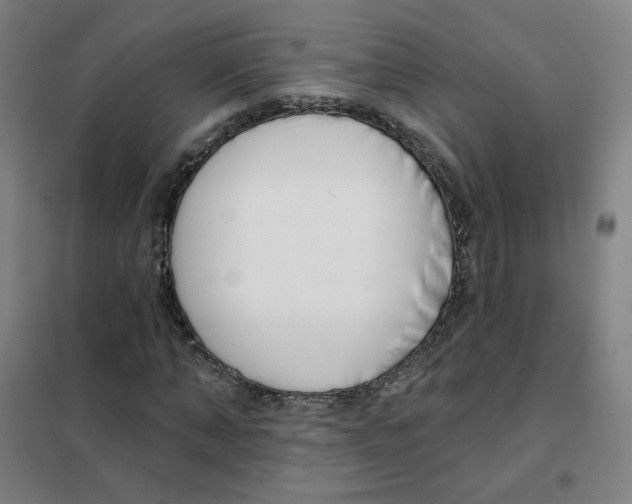 X0000101420870200808041125
