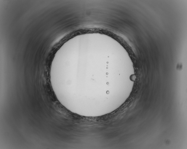 X0000101420871200808041125