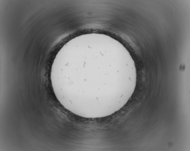 X0000101420872200808041125