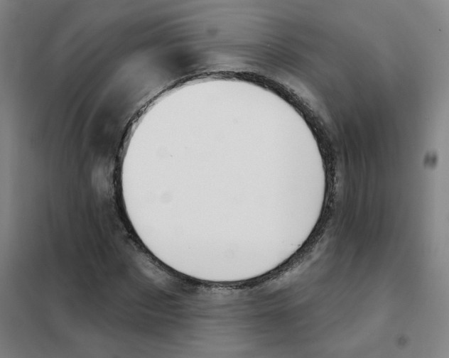 X0000101420873200808041125